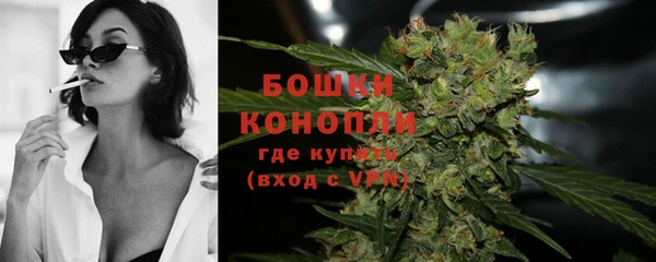 спайс Белокуриха