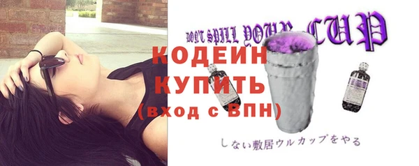 дурь Богданович
