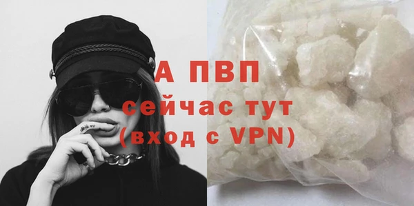спайс Белокуриха