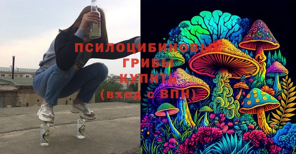 2c-b Беломорск